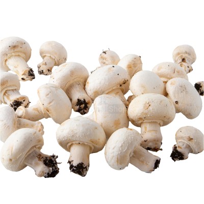 Шампиньоны свежие 500 г - купить в Кальяле